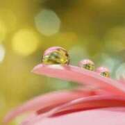 ヒメ日記 2026/03/15 07:02 投稿 桜　もえ エテルナ彦根