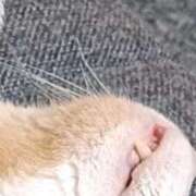 ヒメ日記 2025/08/21 20:29 投稿 まりー ぽちゃ巨乳専門　新大久保・新宿歌舞伎町ちゃんこ