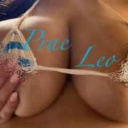 ヒメ日記 2024/12/21 10:45 投稿 新垣 レオ Prae(プラエ)