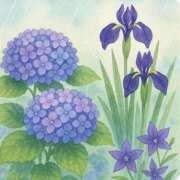 ヒメ日記 2025/06/24 20:43 投稿 新垣 レオ Prae(プラエ)