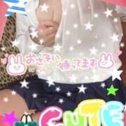 ヒメ日記 2025/04/25 22:01 投稿 木内美里（きうちみさと） 姫路マダム大奥