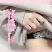 ヒメ日記 2025/06/04 04:01 投稿 木内美里（きうちみさと） 姫路マダム大奥