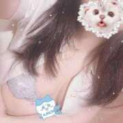 ヒメ日記 2026/04/11 09:52 投稿 木内美里（きうちみさと） 姫路マダム大奥