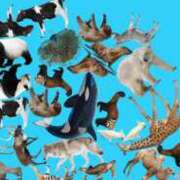 ヒメ日記 2025/03/30 17:22 投稿 まお 素人美少女専門　新横浜アンジェリーク（アンジェリークグループ）