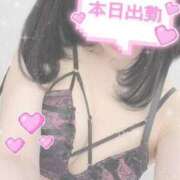 ヒメ日記 2025/05/30 13:00 投稿 ぐみ DOLCE