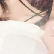 ヒメ日記 2025/06/20 07:15 投稿 ぐみ DOLCE