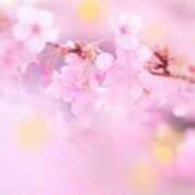 ヒメ日記 2026/04/23 09:32 投稿 りな Mrs Sirena（ミセスシレナ）