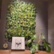 ヒメ日記 2024/12/27 10:25 投稿 森　まこ OLアフター5