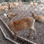 ヒメ日記 2024/05/31 14:57 投稿 そあ TIARA(ティアラ) YOKOHAMA