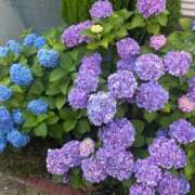 ヒメ日記 2026/06/12 17:48 投稿 あすな 俺のKissリフレ