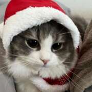 ヒメ日記 2024/12/21 18:56 投稿 める 贅沢なひと時