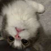 ヒメ日記 2025/01/25 20:03 投稿 める 贅沢なひと時