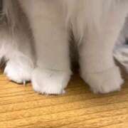 ヒメ日記 2025/02/09 19:09 投稿 める 贅沢なひと時