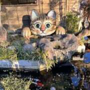 ヒメ日記 2025/02/19 19:59 投稿 める 贅沢なひと時