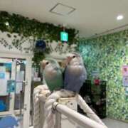 ヒメ日記 2025/03/22 19:03 投稿 める 贅沢なひと時