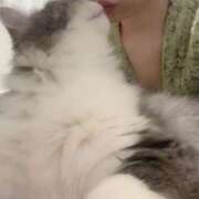 ヒメ日記 2025/03/24 18:54 投稿 める 贅沢なひと時