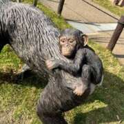 ヒメ日記 2025/05/28 19:15 投稿 める 贅沢なひと時