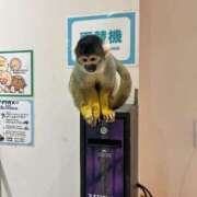 ヒメ日記 2025/07/05 19:16 投稿 める 贅沢なひと時