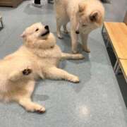 ヒメ日記 2025/07/29 19:43 投稿 める 贅沢なひと時