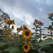 ヒメ日記 2025/08/06 20:03 投稿 める 贅沢なひと時