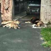 ヒメ日記 2025/08/23 18:51 投稿 める 贅沢なひと時