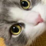 ヒメ日記 2025/08/26 18:47 投稿 める 贅沢なひと時