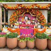 ヒメ日記 2025/10/03 18:37 投稿 める 贅沢なひと時