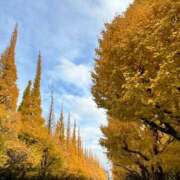 ヒメ日記 2025/11/26 18:16 投稿 める 贅沢なひと時