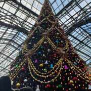 ヒメ日記 2025/12/12 19:20 投稿 める 贅沢なひと時