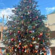 ヒメ日記 2025/12/26 18:50 投稿 める 贅沢なひと時