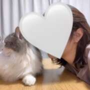 ヒメ日記 2026/01/22 19:47 投稿 める 贅沢なひと時