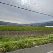 ヒメ日記 2026/02/04 18:53 投稿 める 贅沢なひと時