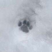 ヒメ日記 2026/02/21 18:31 投稿 める 贅沢なひと時