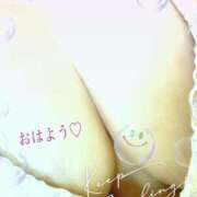 ヒメ日記 2025/04/16 09:59 投稿 こころ 香川高松ちゃんこ