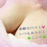 ヒメ日記 2025/08/11 15:59 投稿 こころ 香川高松ちゃんこ