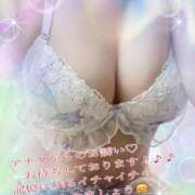 ヒメ日記 2025/09/24 21:29 投稿 こころ 香川高松ちゃんこ