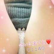 ヒメ日記 2025/12/30 10:11 投稿 こころ 香川高松ちゃんこ