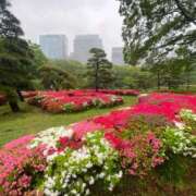 ヒメ日記 2025/04/30 11:55 投稿 川崎あみ 川崎南町 素敵な奥様（川崎ハレ系）