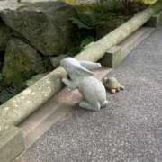 ヒメ日記 2025/10/20 22:57 投稿 川崎あみ 川崎南町 素敵な奥様（川崎ハレ系）