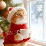 川崎あみ こんばんにゃ 川崎南町 素敵な奥様（川崎ハレ系）