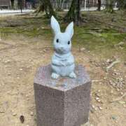 ヒメ日記 2026/02/11 18:55 投稿 川崎あみ 川崎南町 素敵な奥様（川崎ハレ系）