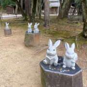 ヒメ日記 2026/03/11 20:35 投稿 川崎あみ 川崎南町 素敵な奥様（川崎ハレ系）