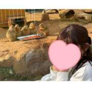 ヒメ日記 2025/04/11 18:42 投稿 杏音-ANON- luxury aroma 咲