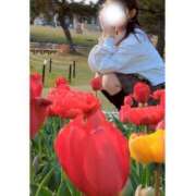 ヒメ日記 2025/04/21 12:36 投稿 杏音-ANON- luxury aroma 咲