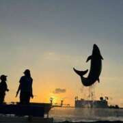 ヒメ日記 2025/12/01 17:01 投稿 杏音-ANON- luxury aroma 咲