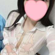 東條 えり ３点責め セレブリフレ水戸