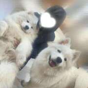 ヒメ日記 2025/12/07 09:06 投稿 りお 池袋マリン本店