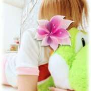 ヒメ日記 2025/03/08 23:47 投稿 あいる 千葉人妻花壇