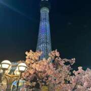 ヒメ日記 2025/03/15 10:45 投稿 あいる 千葉人妻花壇