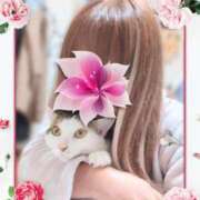 ヒメ日記 2025/04/02 19:10 投稿 あいる 千葉人妻花壇